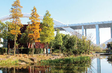 案例展示一(图1) 案例展示一(图1)